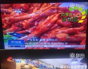 新闻爆料假牛羊肉餐馆,假牛羊肉餐馆横行，食品安全谁来守护？  第2张